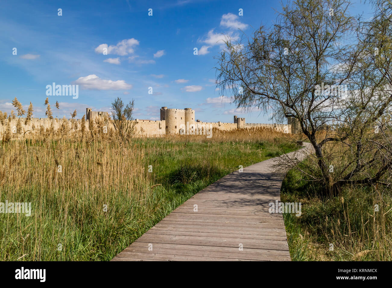 Die Wände, die die mittelalterliche Stadt Aigues-Mortes, vom Salt Marsh Gehweg gesehen. Aigues-Mortes, Frankreich. 2017. Stockfoto