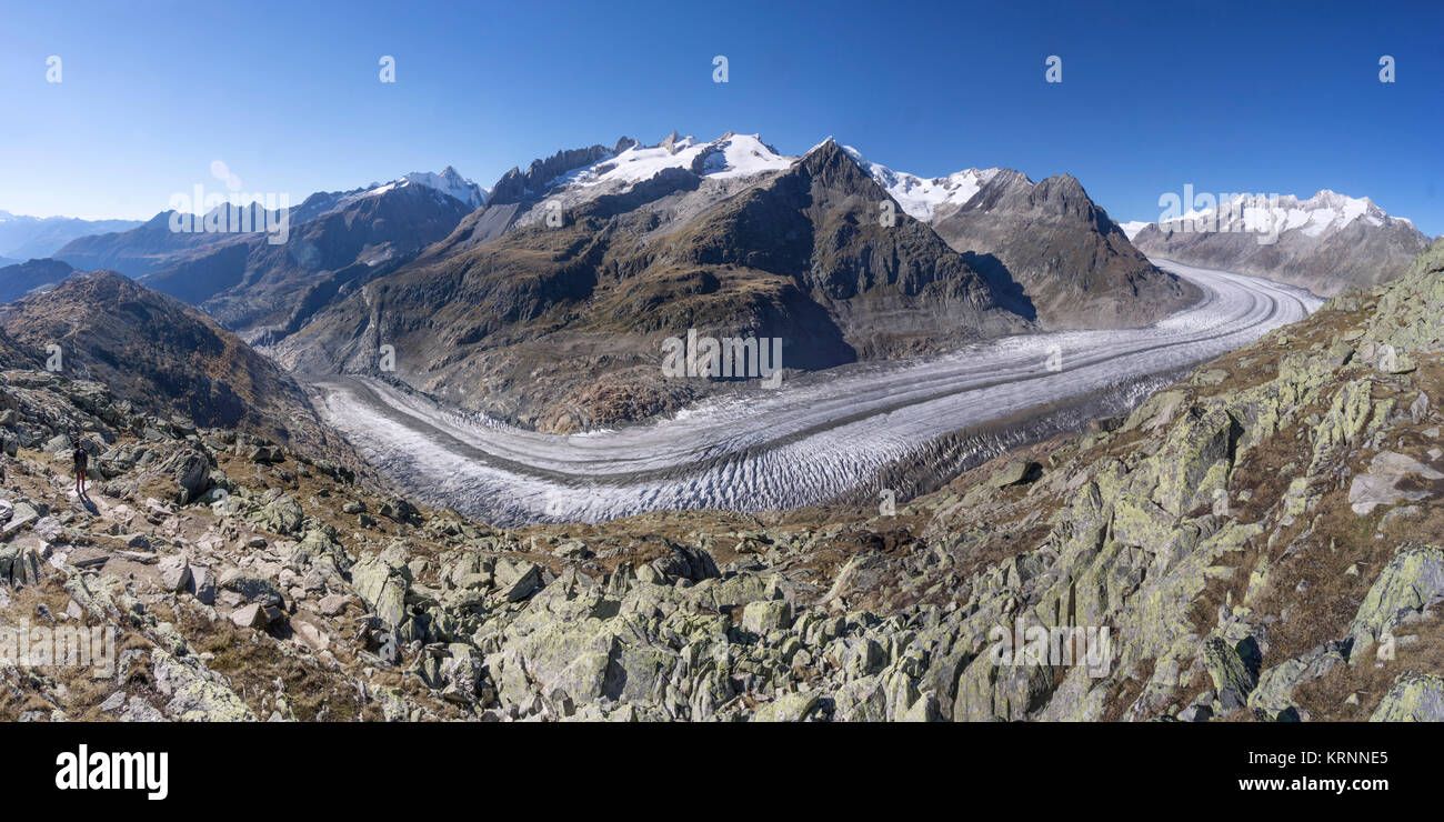 Panorama des Aletschgletschers im Herbst, schmelzende Gletscher, Schweizer Alpen, Schweiz Stockfoto