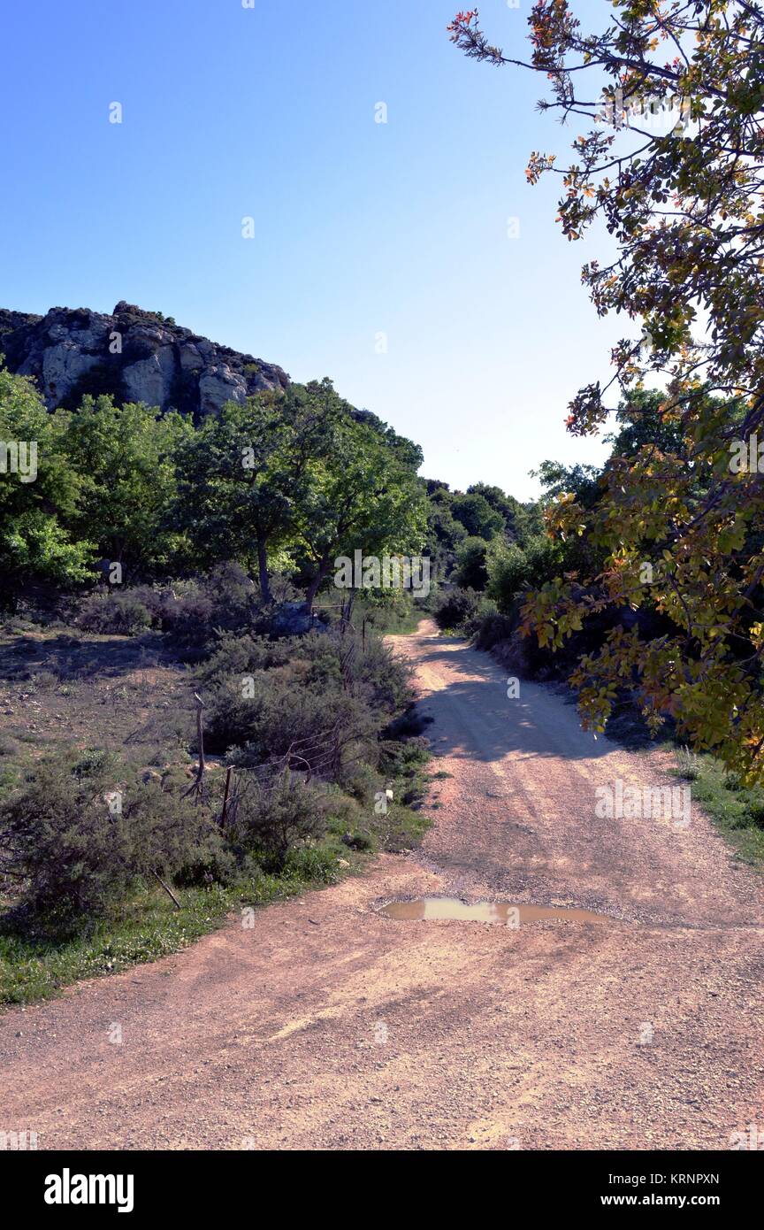 Ein steiniger Weg. Stockfoto