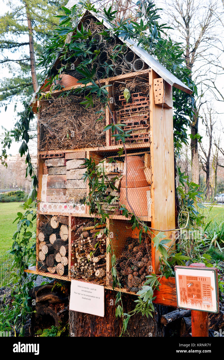 Insekten hotel - Bois de Boulogne - Paris 16 - Paris Stockfoto