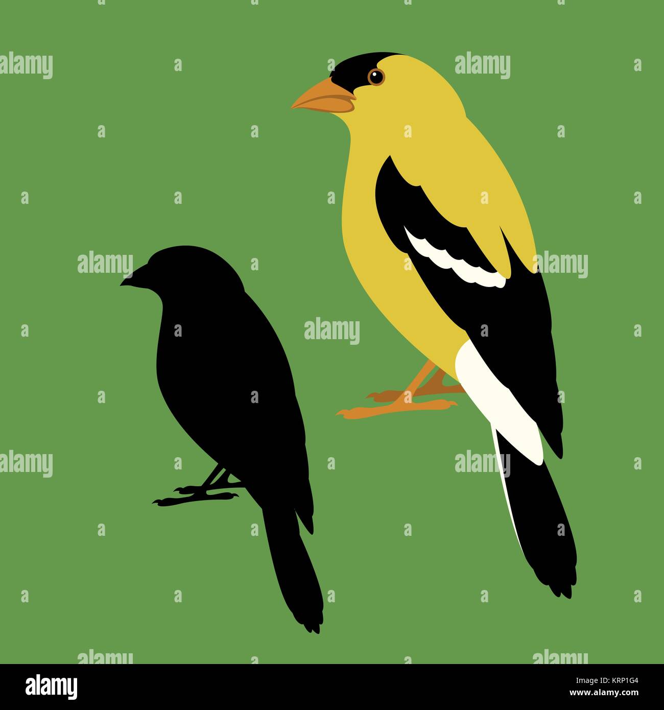 Bunting bird Vektor-illustration Flat Style Profil ansehen Silhouette Stock Vektor