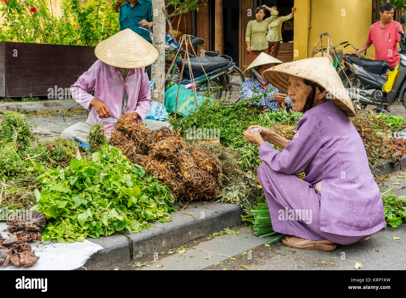 Mitte Jahr Festival, Store, Straße und Markt in der Altstadt von Hoi An, Vietnam. Hoi An ist eine berühmte touristische Ziel in der Welt und Vietnam Stockfoto