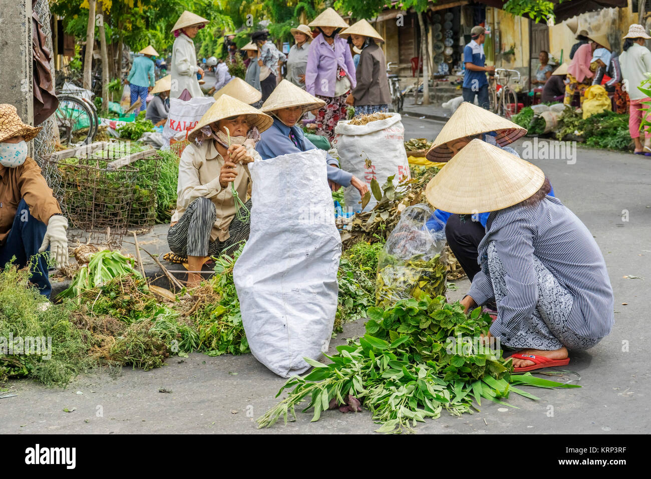 Mitte Jahr Festival, Store, Straße und Markt in der Altstadt von Hoi An, Vietnam. Hoi An ist eine berühmte touristische Ziel in der Welt und Vietnam Stockfoto