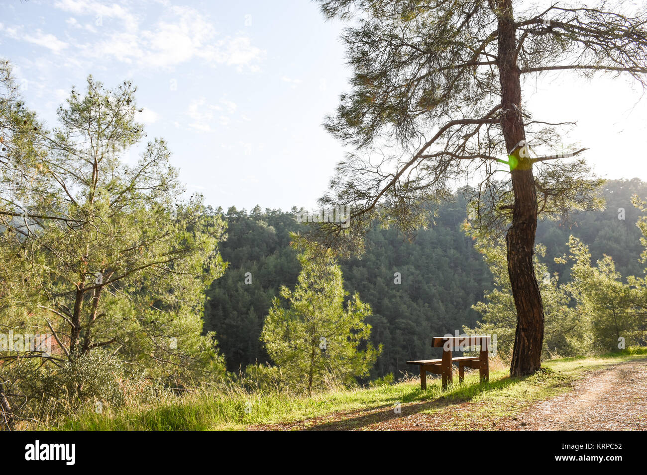 Picknick Platz mit Blick auf das Tal der Wilden Pinien Stockfoto