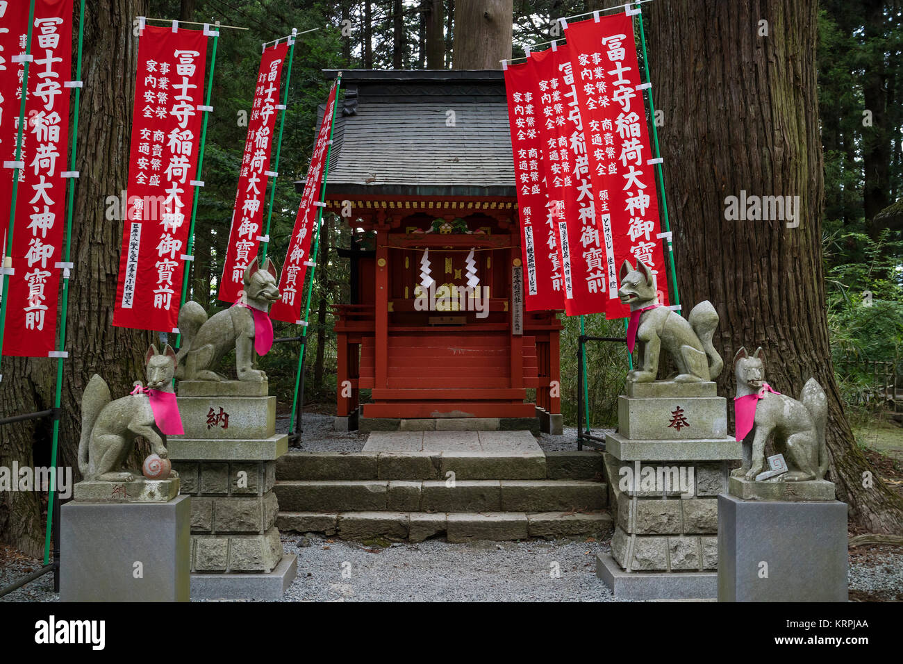 Fujiyoshida Stadt - Japan, Juni 13, 2017; Votive Kitsunes, Fox Tierfiguren, Tier Wächter vor einem Inari Schrein mit roten Schrein Banner Stockfoto