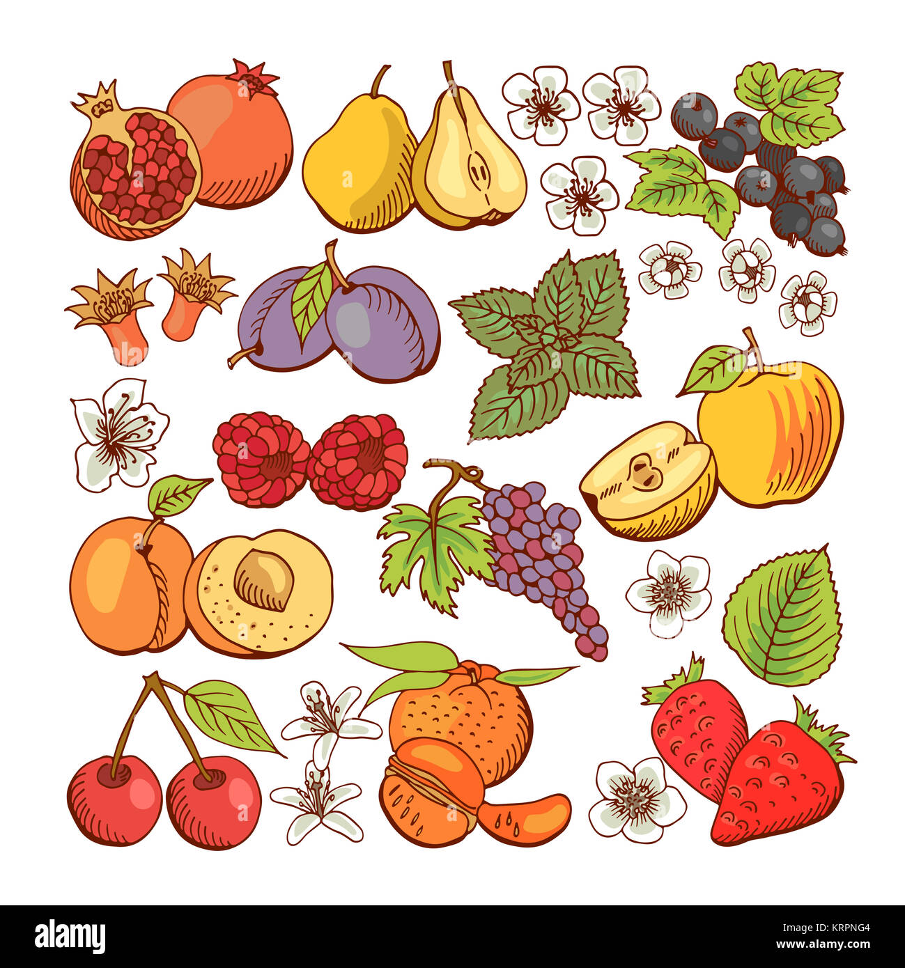 Satz farbiger Beeren und Obst Symbole Stockfoto