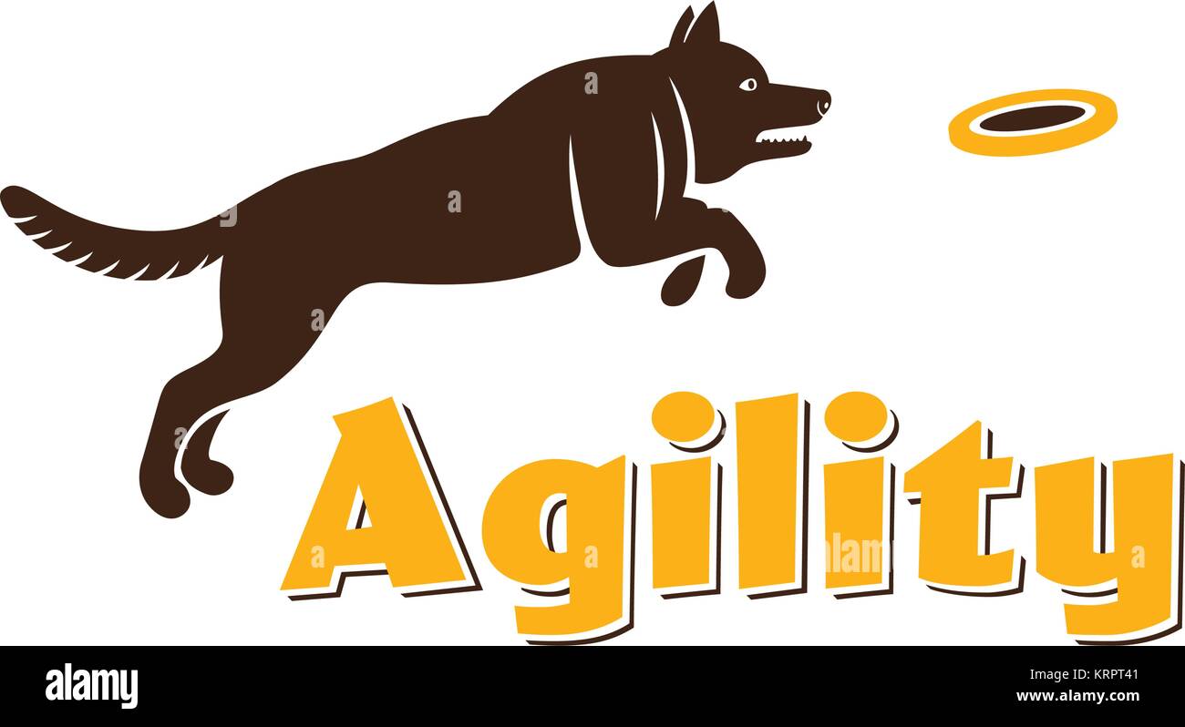 Agility" Schriftzug. Hund Silhouette auf weißem Hintergrund. Hund sport  Abbildung. Agility Hund für Ihr Design Stock-Vektorgrafik - Alamy