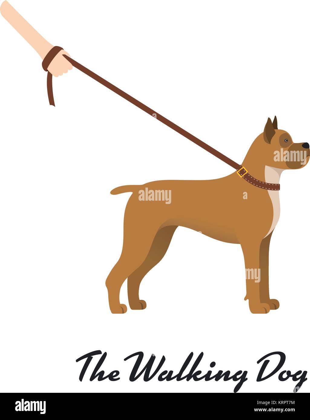 Hund Boxer mit der Leine auf weißem Hintergrund. Vector Illustration Stock Vektor