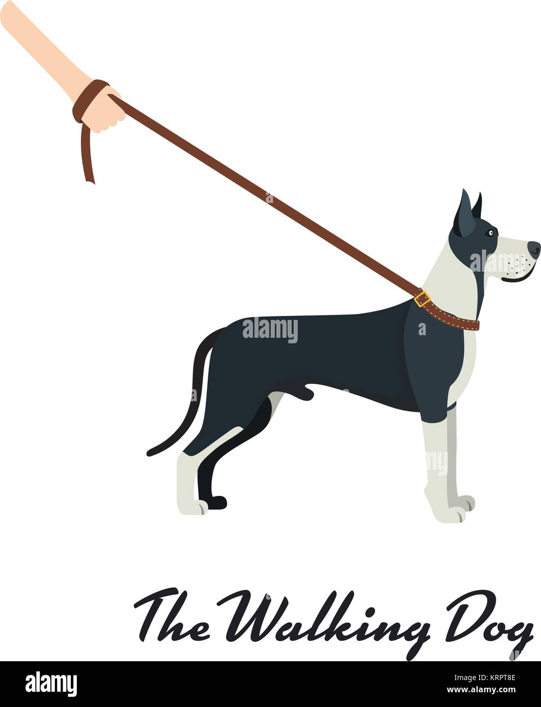 Dogge Hunderasse - auf weißem Hintergrund. Vector Illustration Stock Vektor