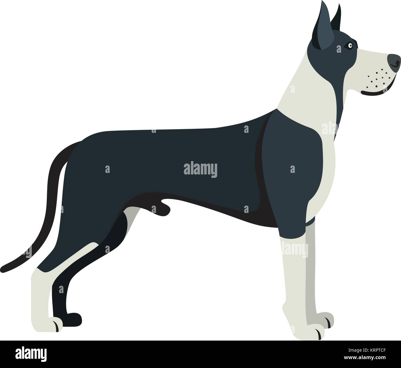 Dogge Hunderasse - auf weißem Hintergrund. Vector Illustration Stock Vektor