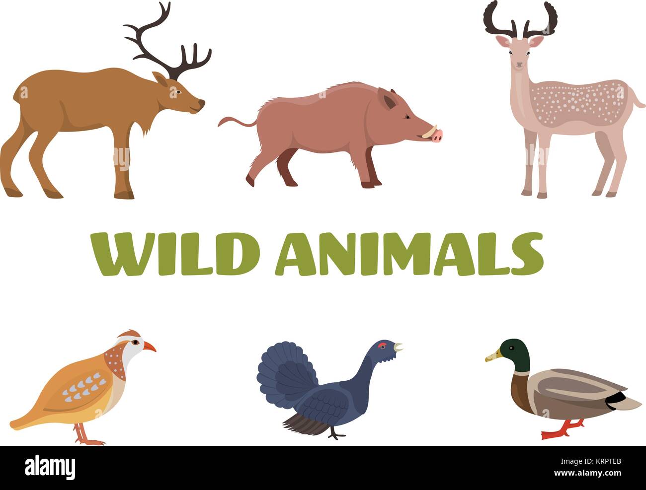 Wilden Wald Tiere mit Wildschweine, Hirsche, Elche, Enten, Grouse und Rebhuhn. Vector Illustration Stock Vektor