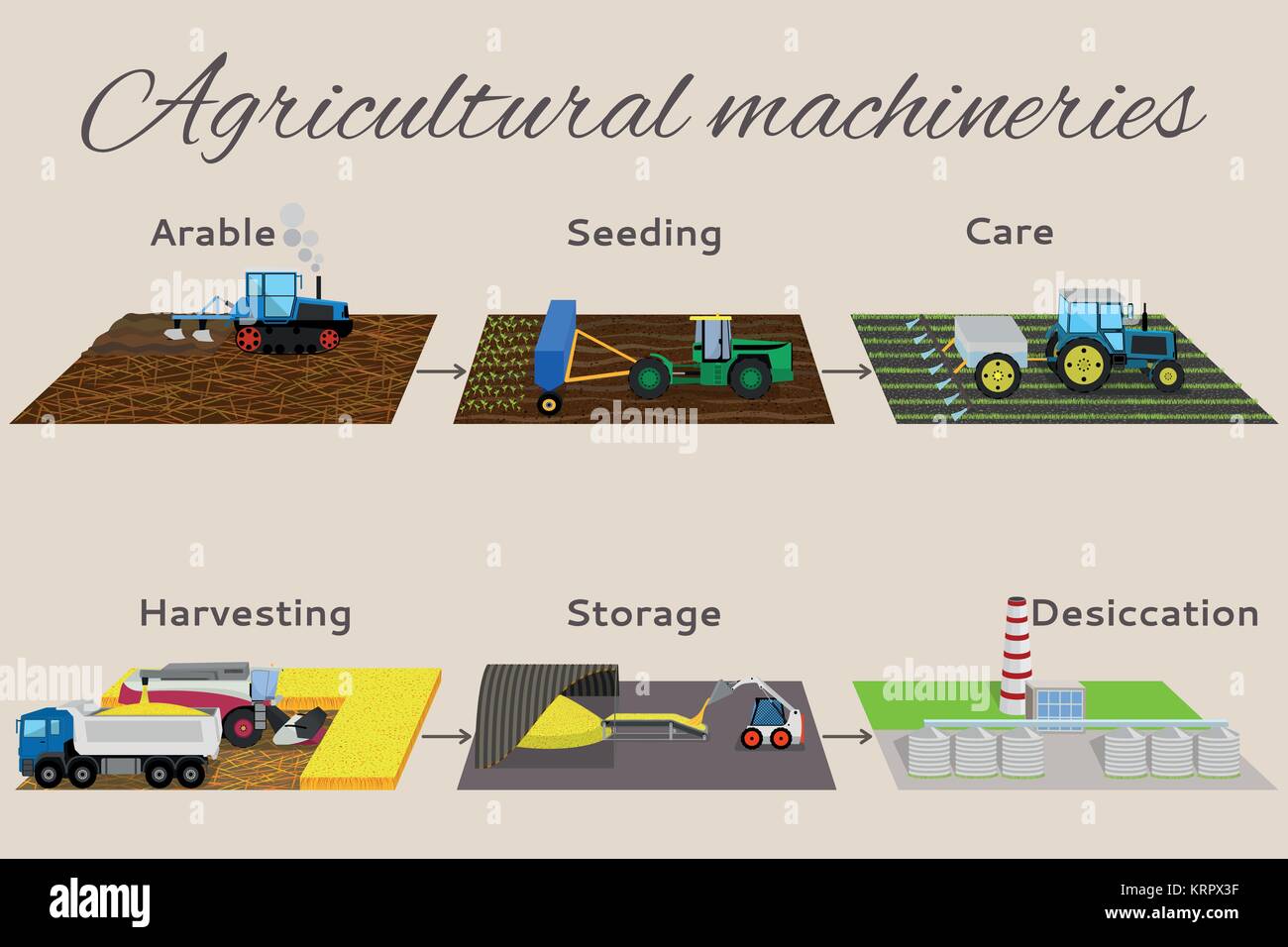 Abbildung: der Prozess der Anbau und die Ernte. Infografiken aus 6 Punkte: Ackerland, Aussaat, Pflege, Ernte, storege, austrocknen. Stock Vektor