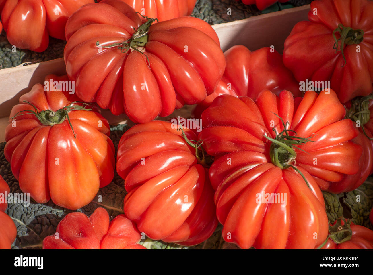 Tomaten am Marktstand, Cours de Selaya, Nizza, Alpes Maritimes, Provence, Côte d'Azur, Mittelmeer, Frankreich, Europa, Stockfoto