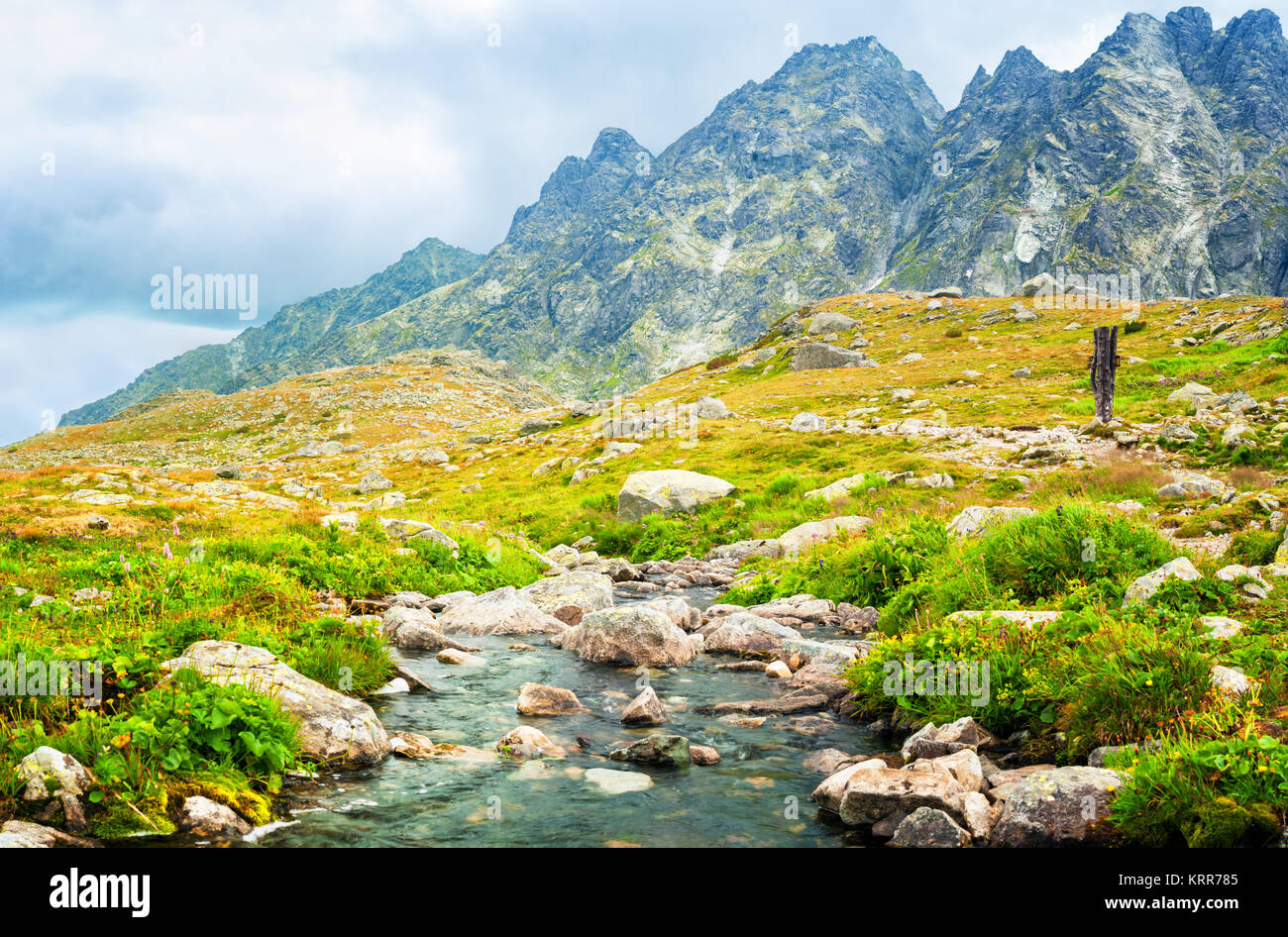 Mountain Stream in Hohe Tatra, Slowakei Stockfoto