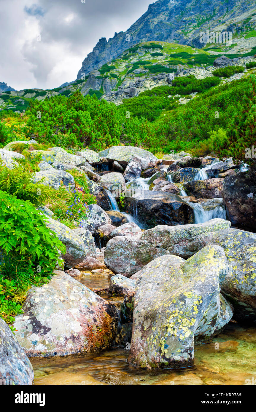 Mountain Stream in Hohe Tatra, Slowakei Stockfoto