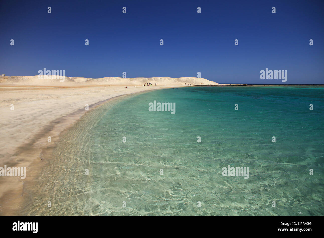 Marsa Mubarak, einer der schönsten Plätze in der Region Marsa Alam, wo Dugong (Seekuh) und Meeresschildkröten gesehen werden kann. Stockfoto