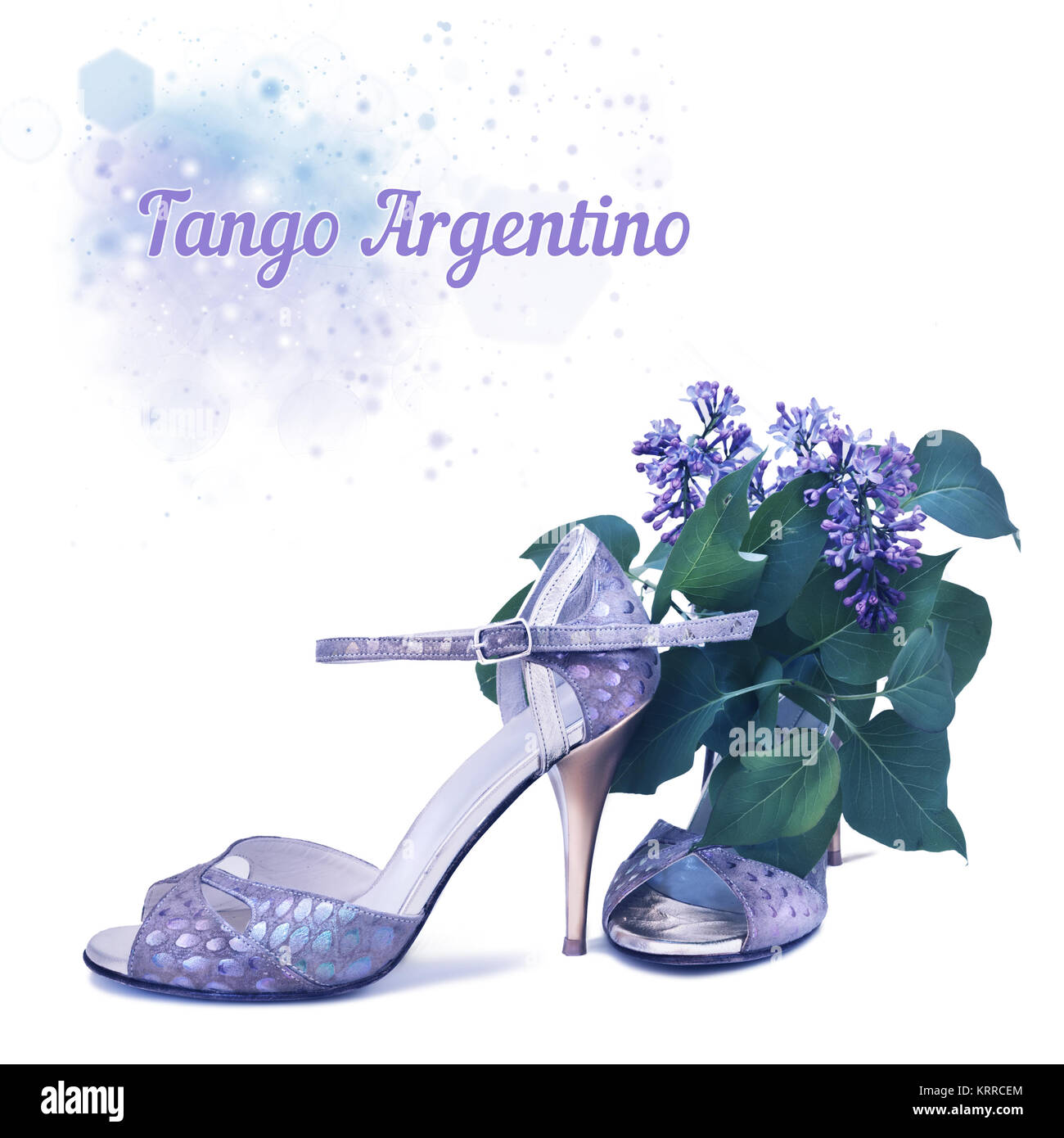 Tango Stilettos und lila Blumen auf hellem Hintergrund, Text Raum Stockfoto
