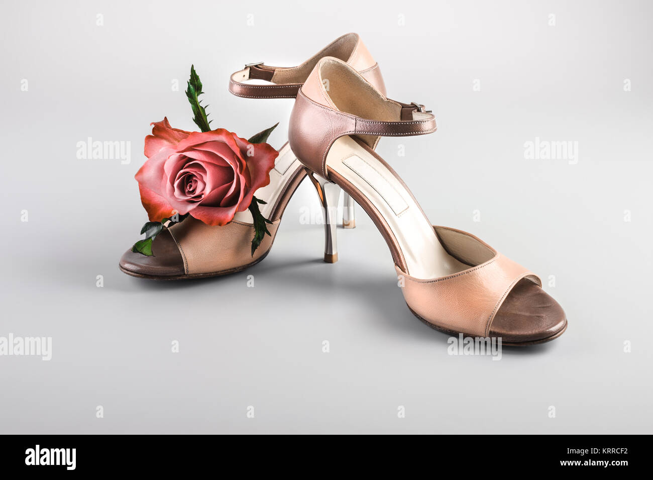 Argentinischer Tango Schuhe mit einer Rose auf neutralem Hintergrund Stockfoto