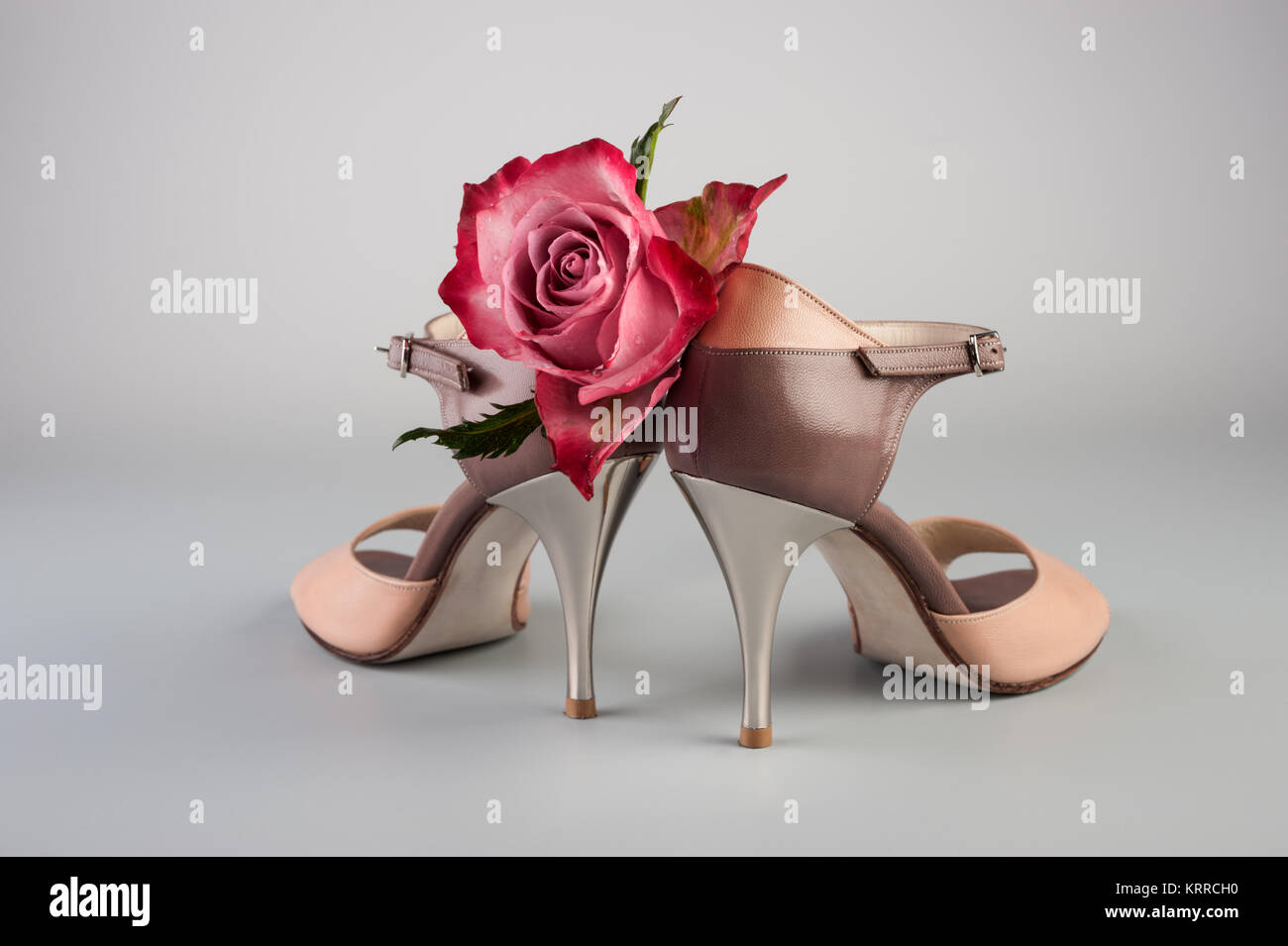 Argentinischer Tango Schuhe mit einer Rose auf neutralem Hintergrund Stockfoto