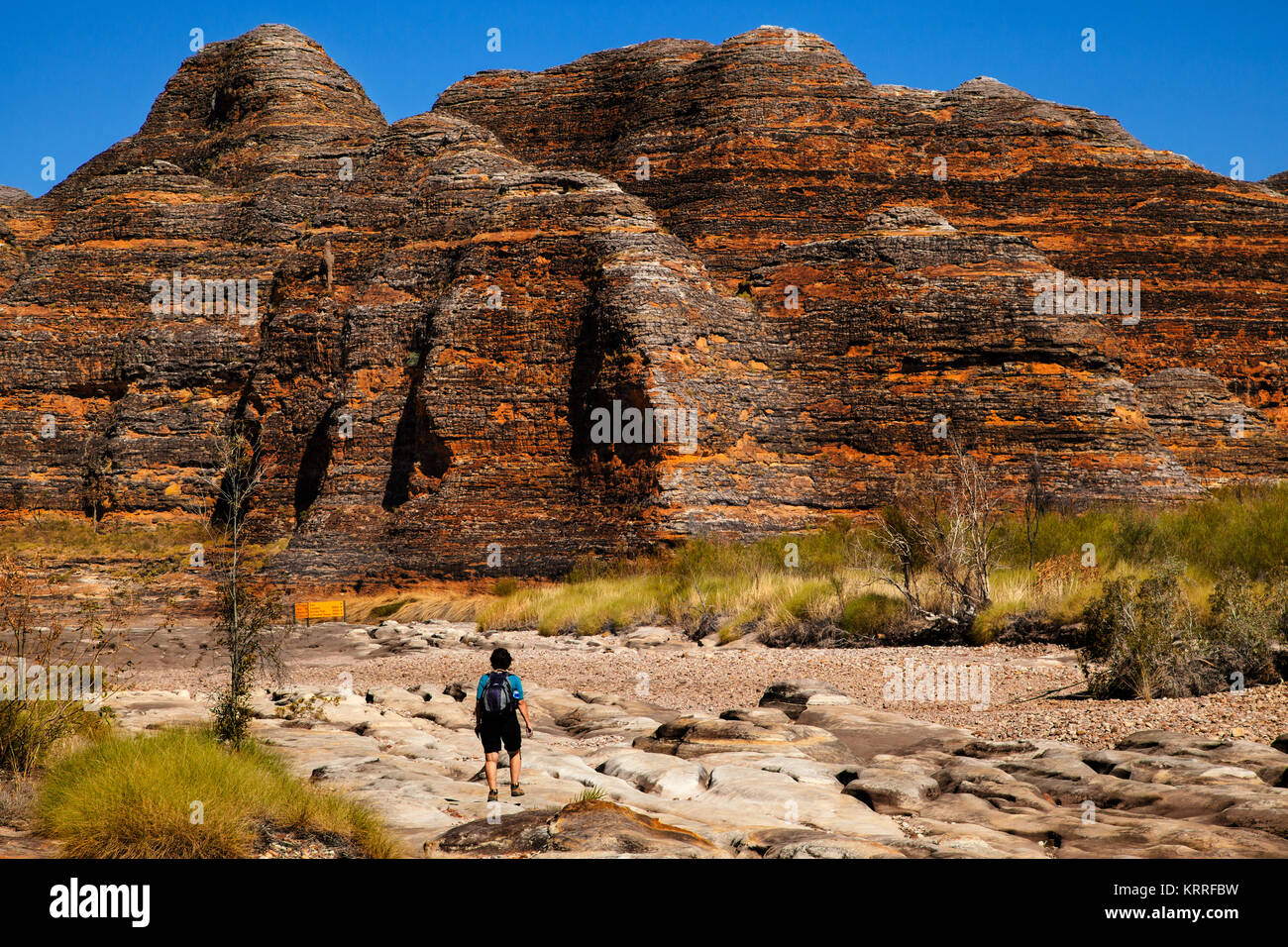 Die atemberaubende Landschaft der Bienenstock wie Sandstein Formationen ist atemberaubend, Bungle Bungles, Purnululu National Park, Australien Stockfoto