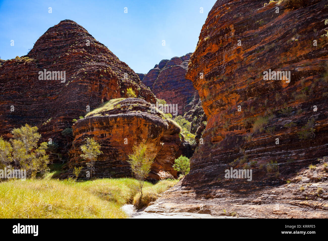 Der Weg zum Cathedral Gorge, Bungle Bungles, Purnululu National Park, Western Australia, Australien Stockfoto