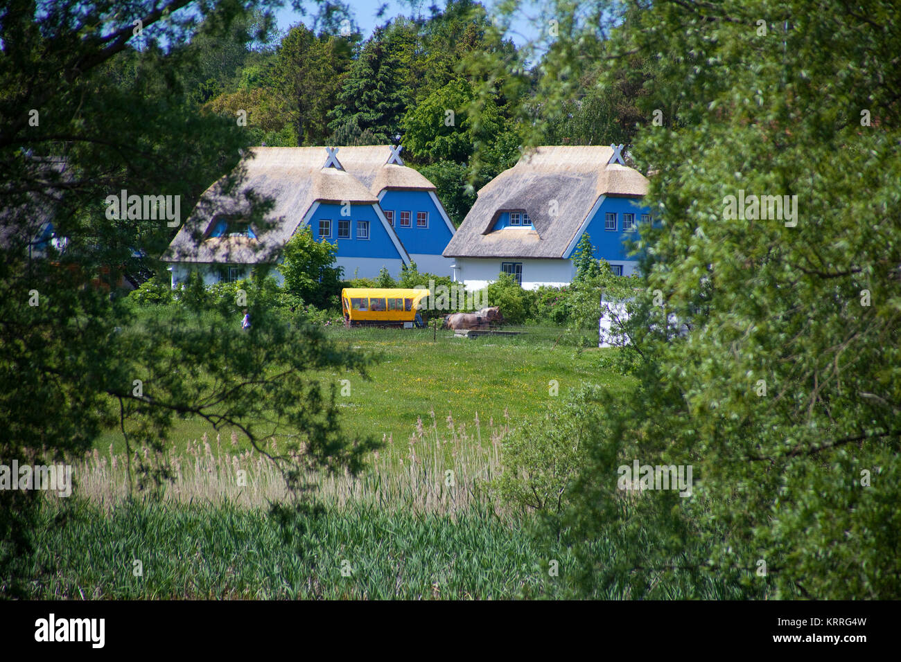 Strohgedeckte Häuser im Dorf Kloster, Insel Hiddensee, Mecklenburg-Vorpommern, Ostsee, Deutschland, Europa Stockfoto