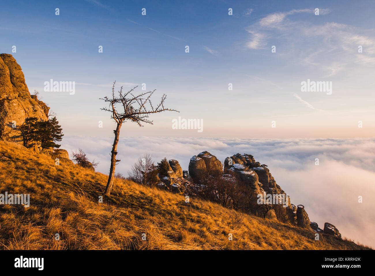 Herbst Landschaft od Demerdji Berges Stockfoto