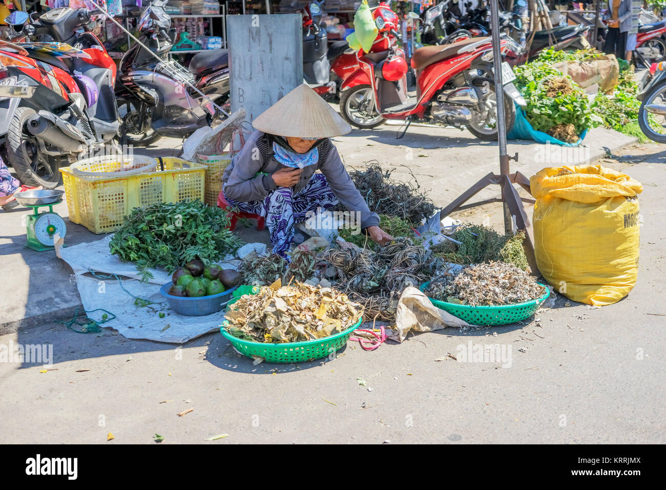Mitte Jahr Festival, Store, Straße und Markt in der Altstadt von Hoi An, Vietnam. Hoi An ist eine berühmte touristische Ziel in der Welt und Vietnam Stockfoto