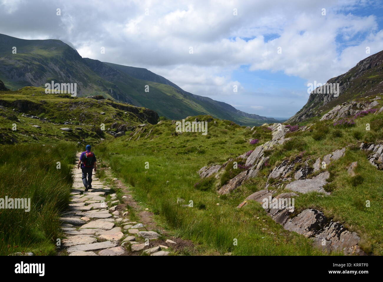 Einsamer Wanderer wieder vom Berg Tryfan auf dem Fußweg in Richtung Llyn Ogwen Stockfoto