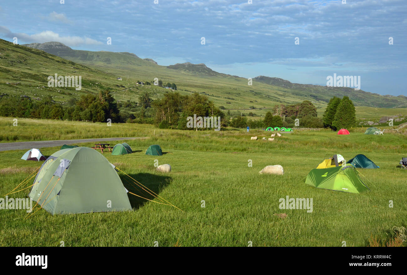 Zelte auf Gwern Gof Usif Campingplatz am Fuße des Mount Tryfan, Snowdonia, Wales, Großbritannien Stockfoto