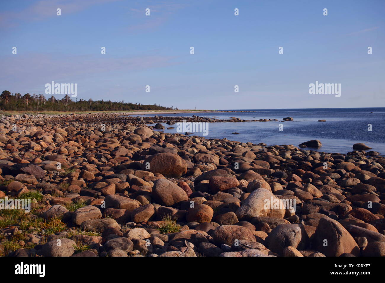 Die Küste ist übersät mit Steinen. Weißes Meer, Solovetsky Inseln Stockfoto