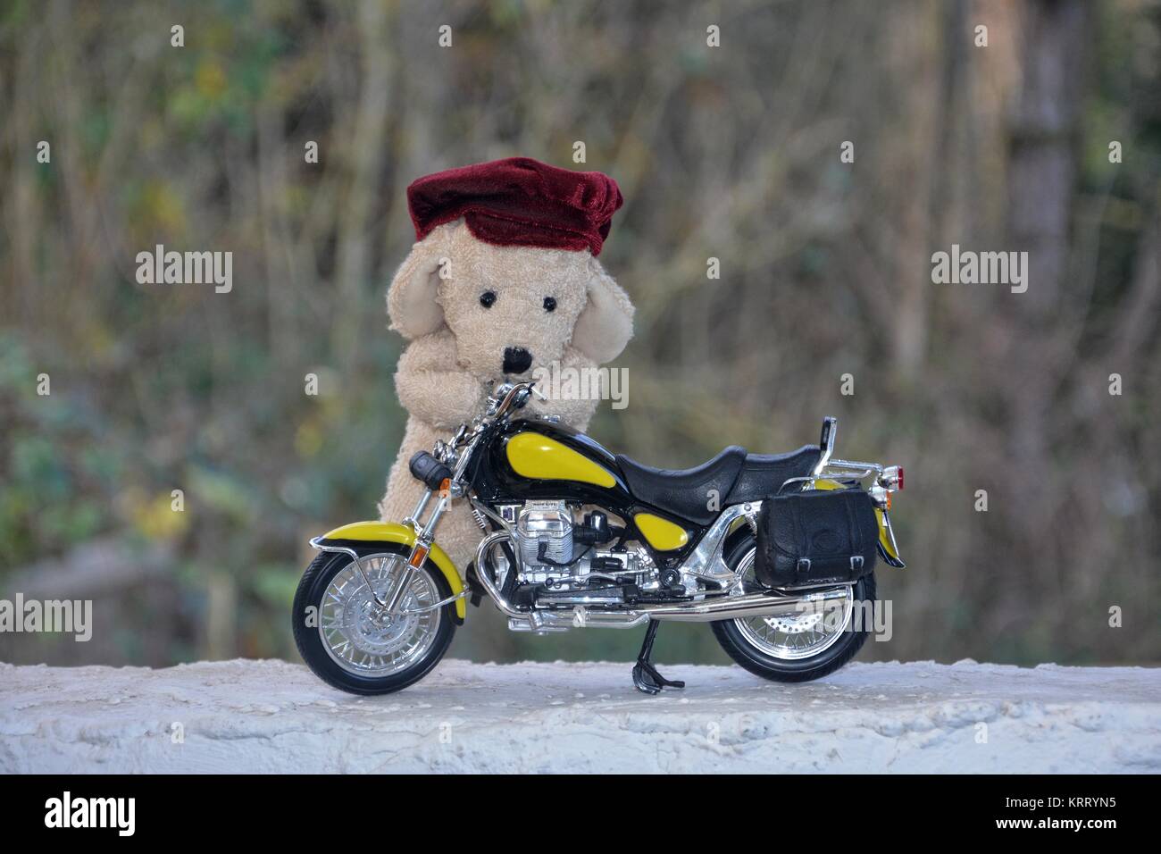 Weißer Plüschhund mit Mütze steht hinter einem Motorrad im Freien Stockfoto