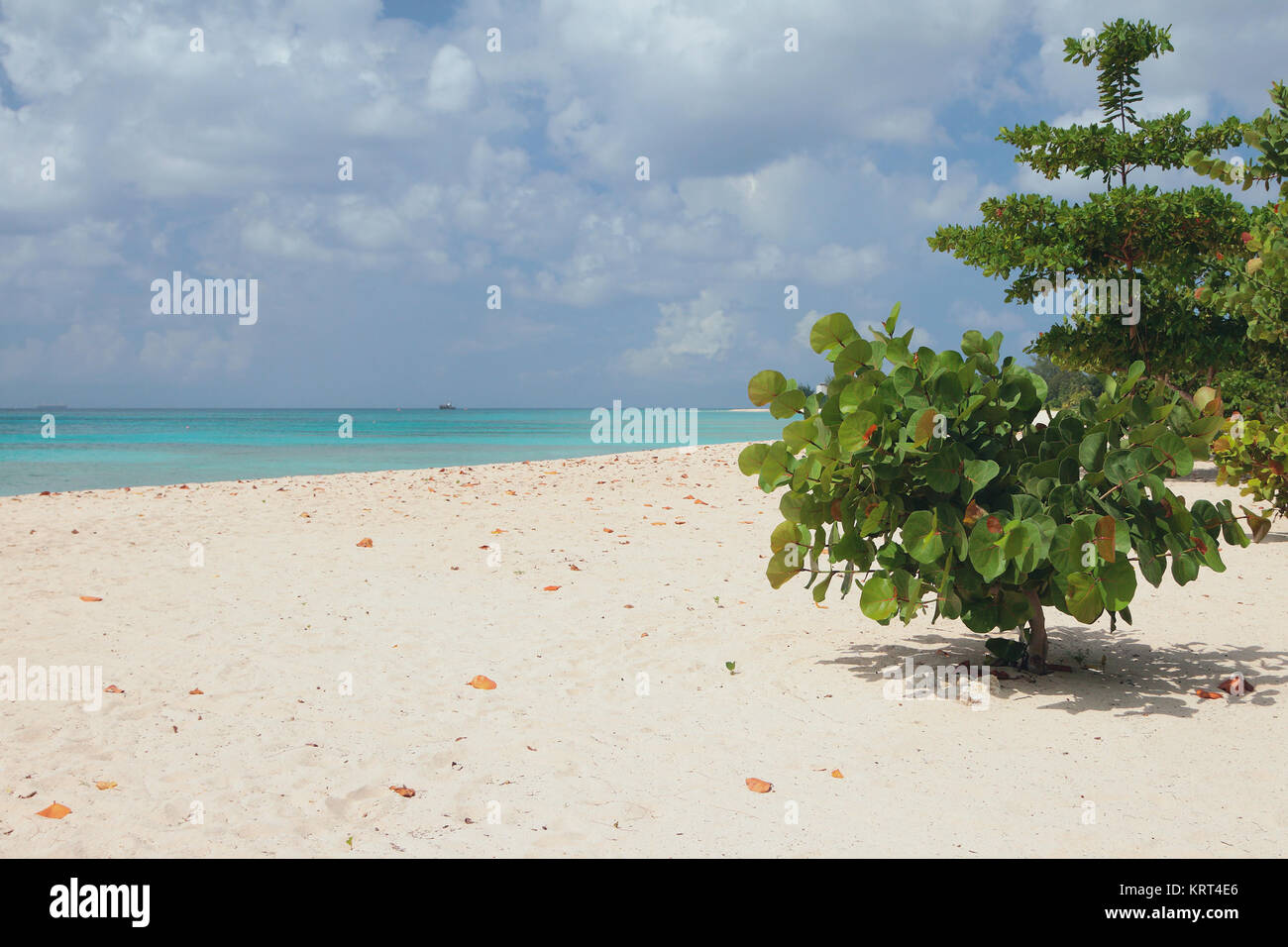 Auf Brandons Strand. Bridgetown, Barbados Stockfoto