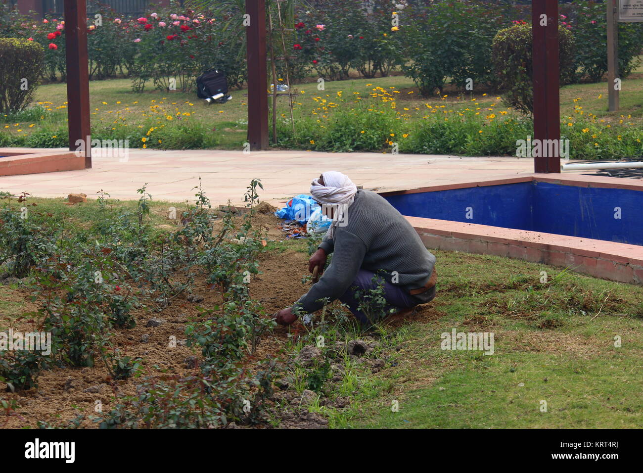 Nach indischen männlichen Gärtner in nationalen Rose Garden, New Delhi, Indien Stockfoto