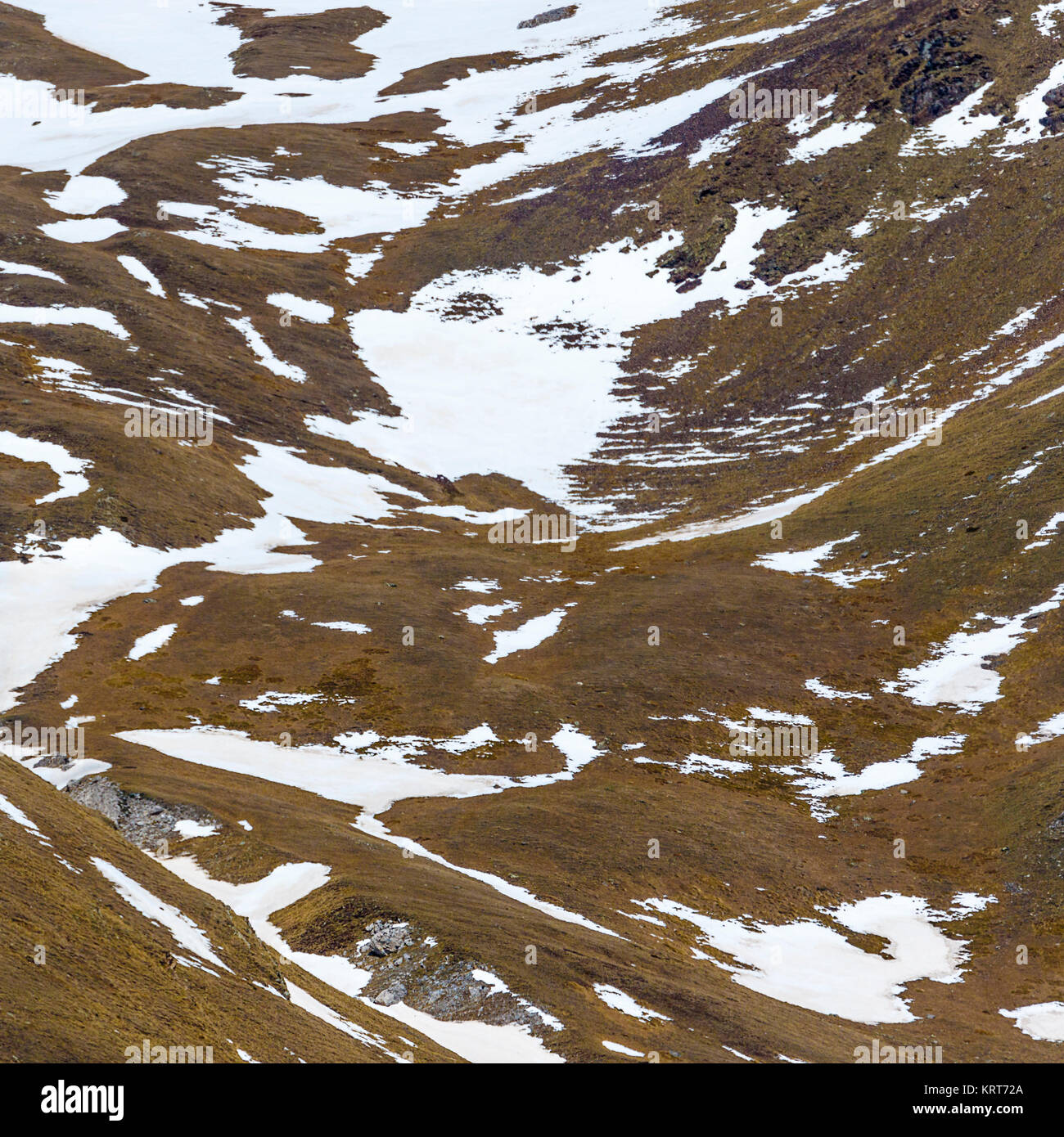 Ein Teleobjektiv ermöglicht zu extrahieren und eine detaillierte Fragment, in dem wir keine Perspektive haben, aber wir bekommen ein interessantes Bild mit der Textur. Stockfoto