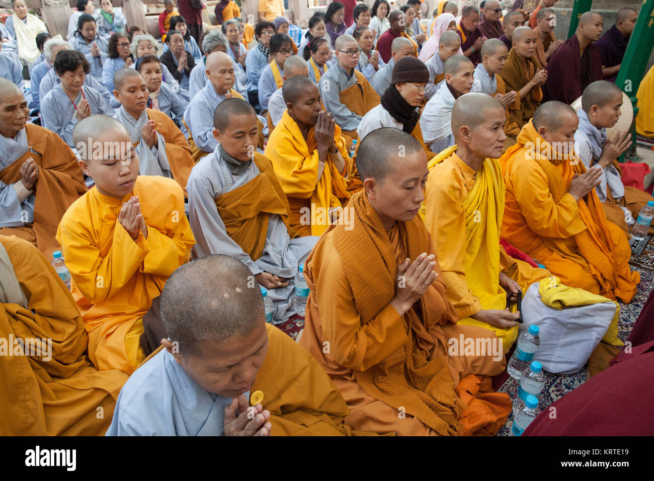 Pilger in Safranroben beten unter dem Bodhi-baum am Mahabodhi Tempel in Bodhgaya, Indien Stockfoto