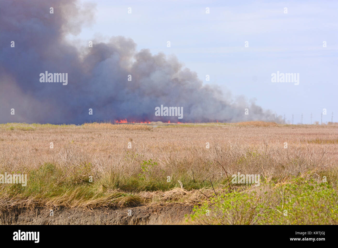 Flammen in einem Wildfire im Bayou Stockfoto