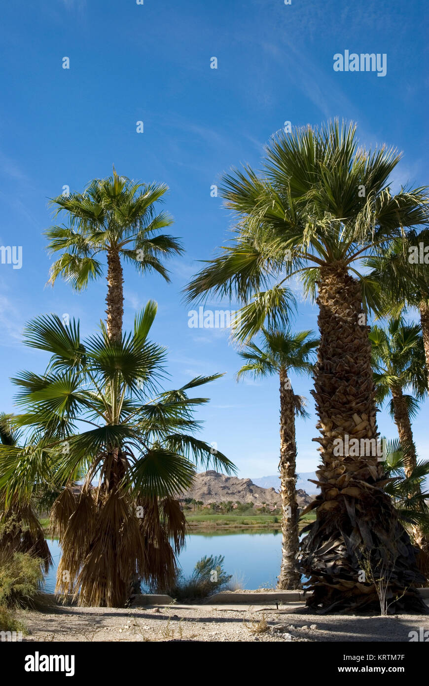 See Las Vegas Henderson Nevada USA Stockfoto