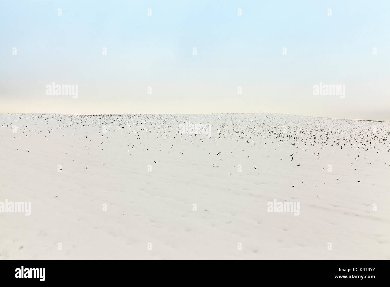 Landwirtschaft-Feld im winter Stockfoto