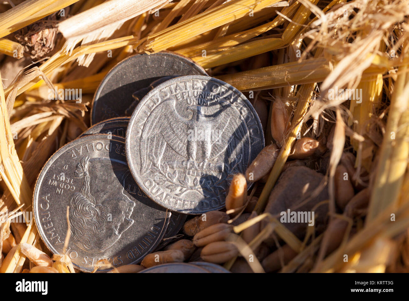 Münze im Stroh Stockfoto