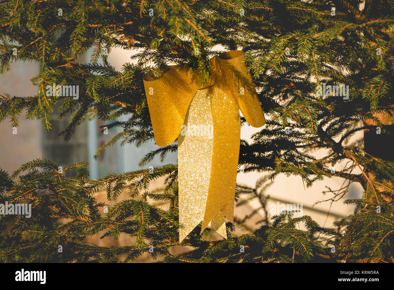 Goldene Knoten hängen am Weihnachtsbaum Stockfoto