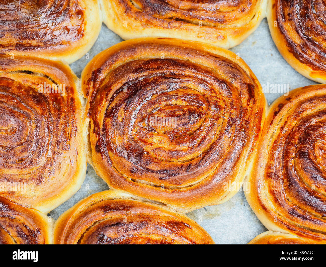 Nahaufnahme von frisch gebackenen Zimtschnecken nach dem Backen im Ofen, mit Eigelb, auf Backpapier Stockfoto