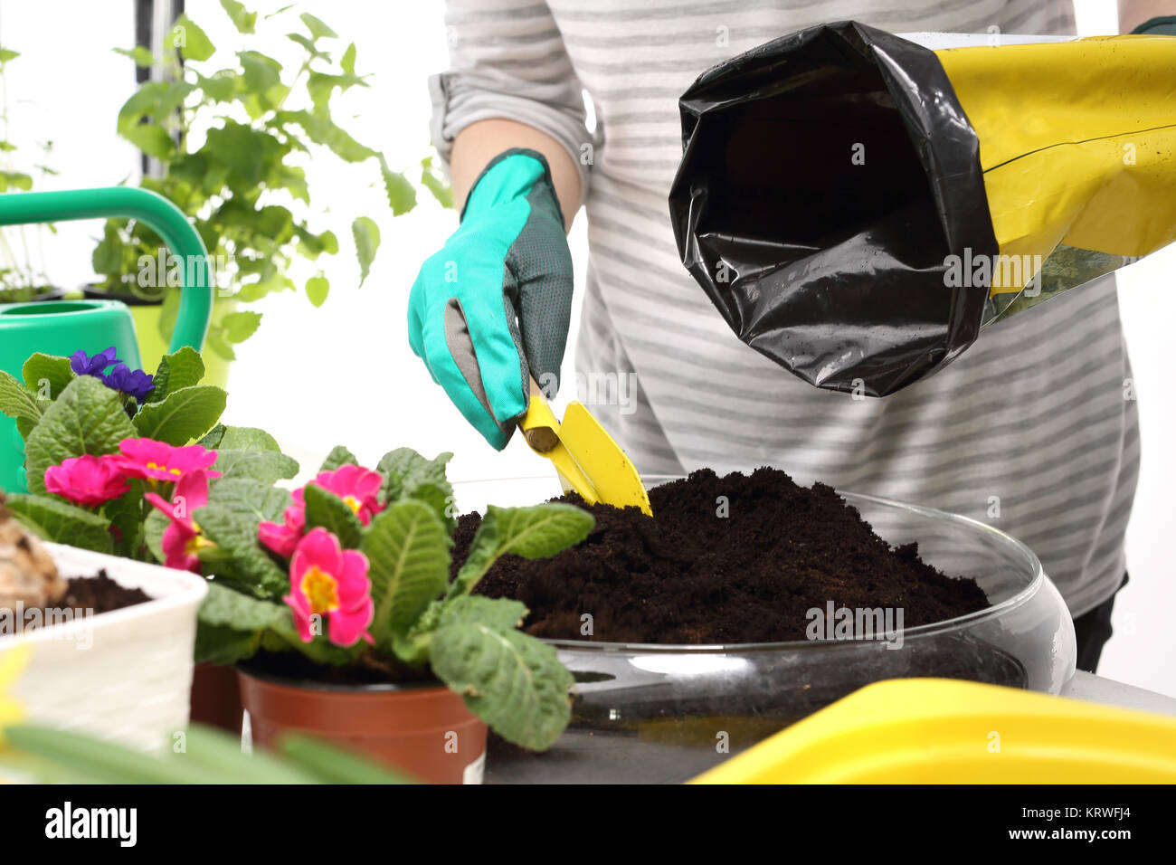 Erde für Blumen, Pflanzen neu Pflanzen Stockfoto