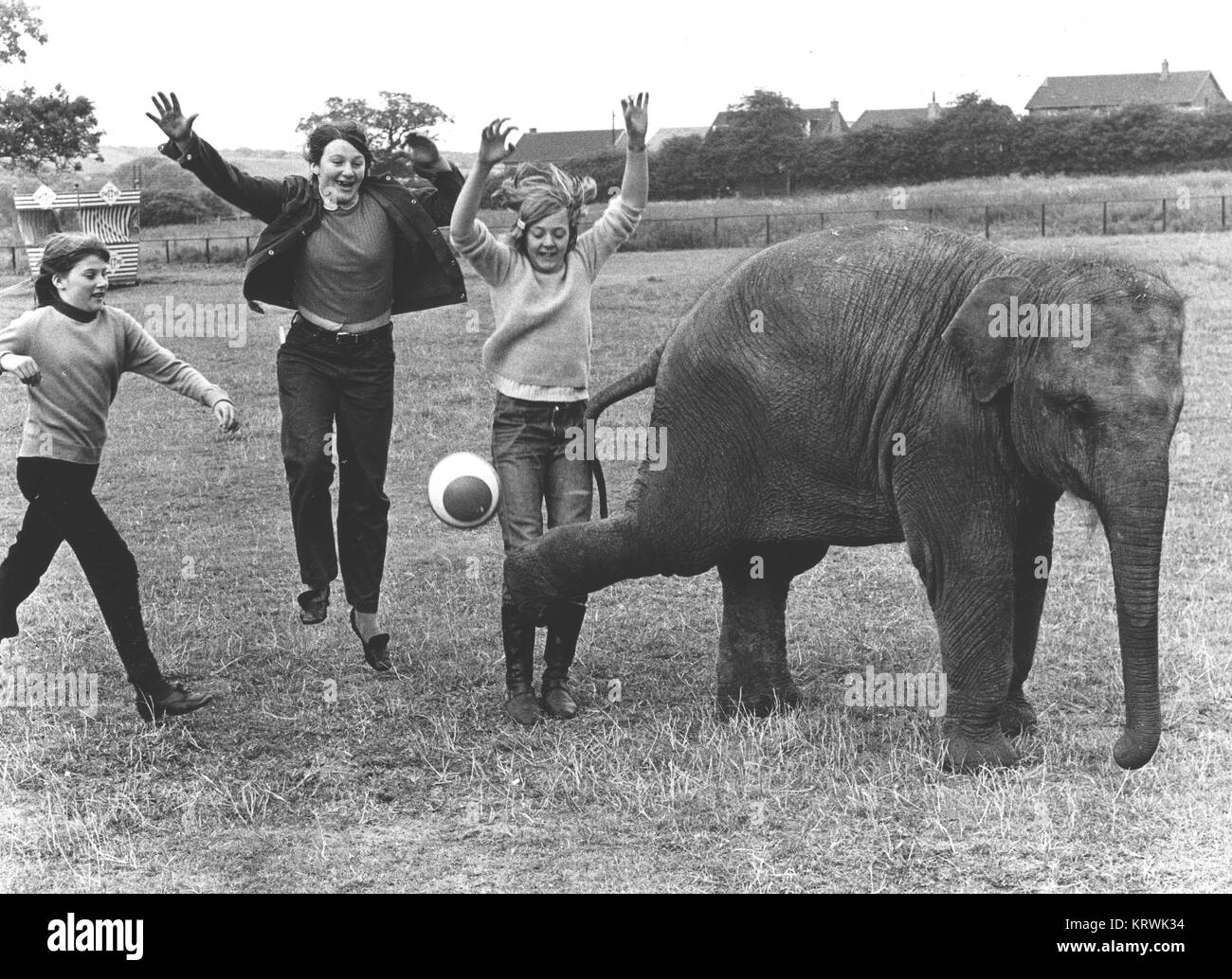 Kinder spielen mit einem Elefanten Kugel, England, Großbritannien Stockfoto