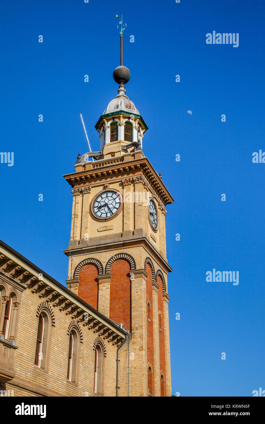 Australien, New South Wales, Newcastle, Newcastle Customs House von 1877, in Italianite Renaissance Revival Stil mit dem kultigen Uhr konzipiert Stockfoto