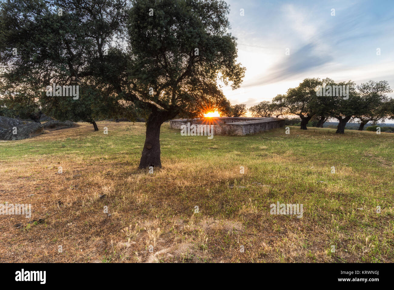 Sonnenuntergang in der Dehesa de Arroyo de la Luz. Der Extremadura. Spanien. Stockfoto