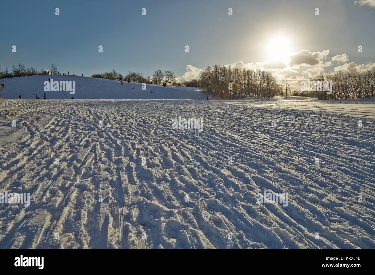 Winter verschneiten Tag im PArk Stockfoto
