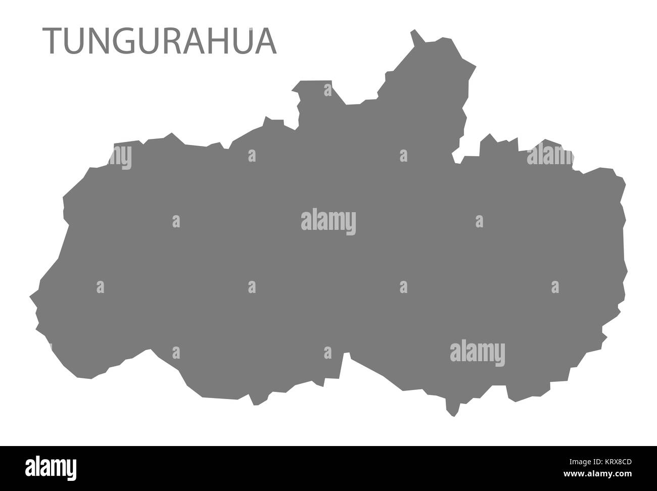 Tungurahua, Ecuador Karte grau Stockfoto
