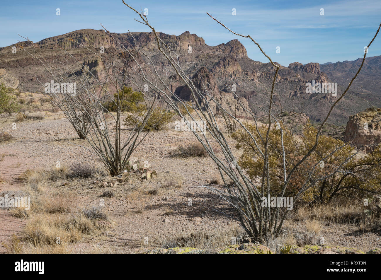 Blick auf die Apache Trail auch als Route 88, die geht durch die Superstition Mountains in Arizona Stockfoto