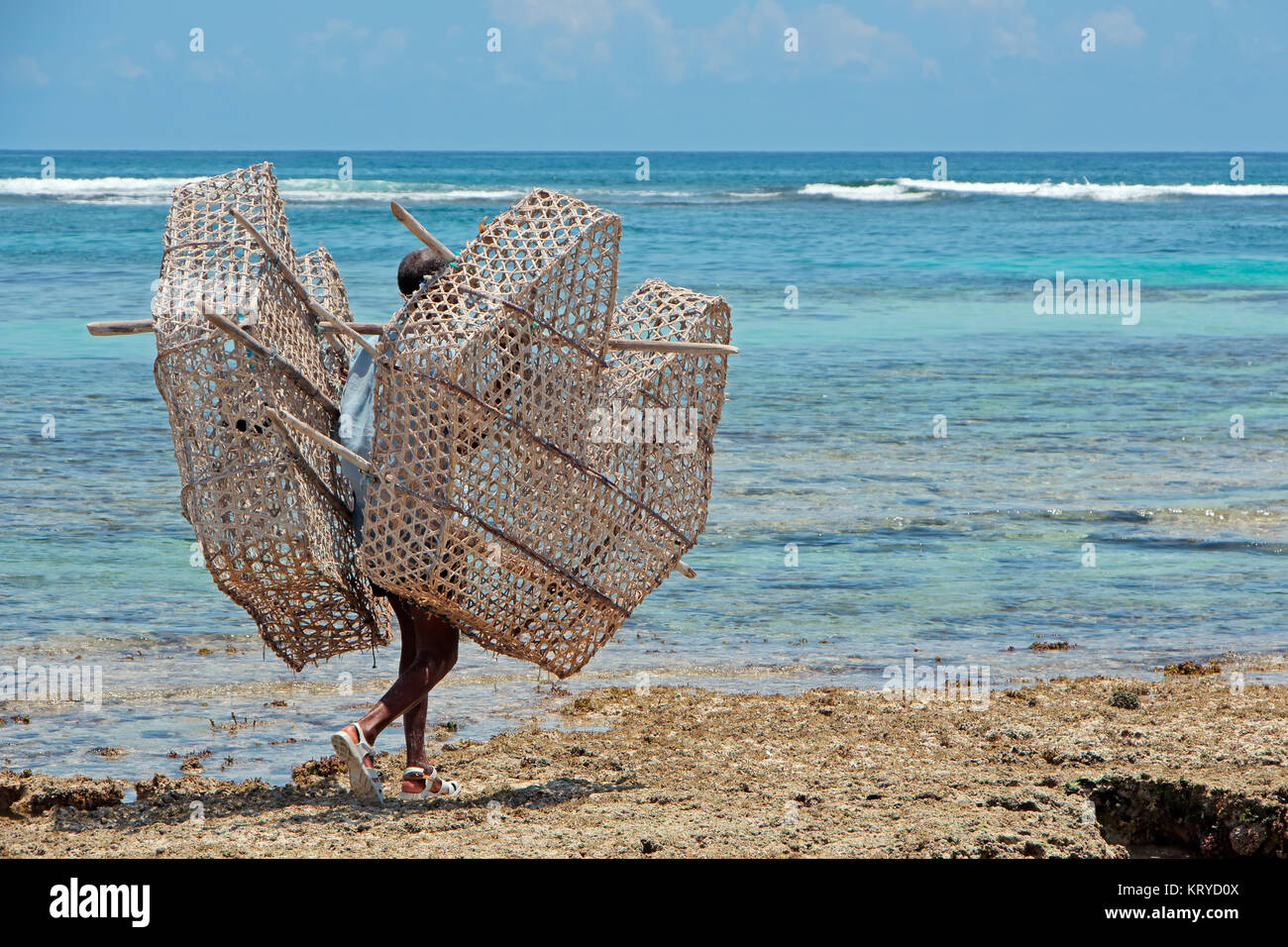 Sansibar, Tansania - Oktober 25, 2014: unbekannter Mann mit traditionellen Fischfalle aus Palmblättern und Holz auf dem corral Felsen der Insel Sansibar Stockfoto